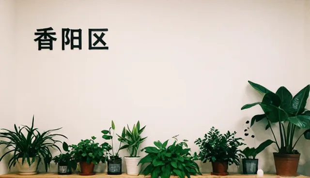 电商销售中采购策略如何影响库存周转